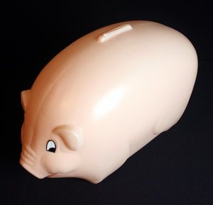 piggy bank