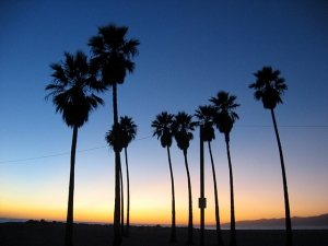 sunset in venice
