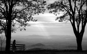 Two trees landscape